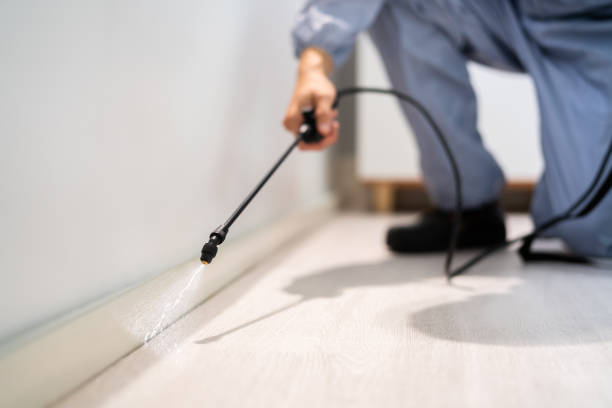 Licensed Pest Control service in Luling, TX - Show Me Pest Control