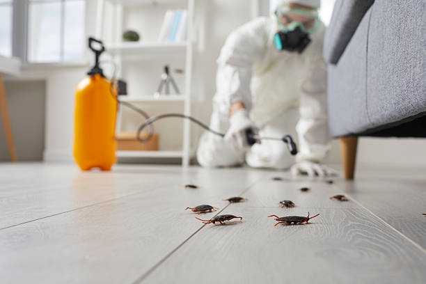Post-Treatment Bed Bug Interceptor Monitoring in Luling
