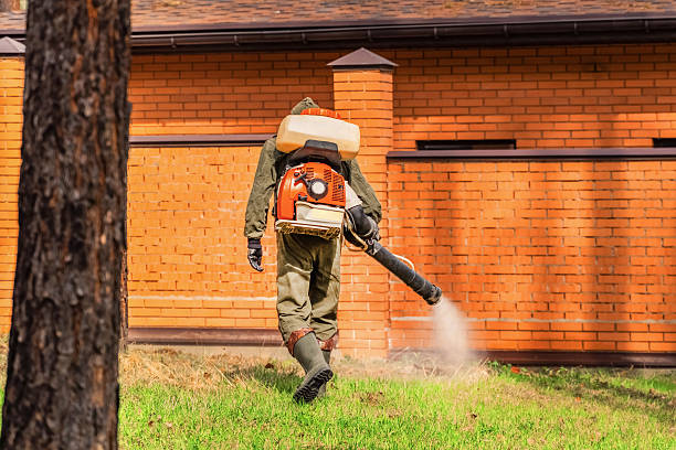 Bed Bug Clearance Verification and Documentation in Luling